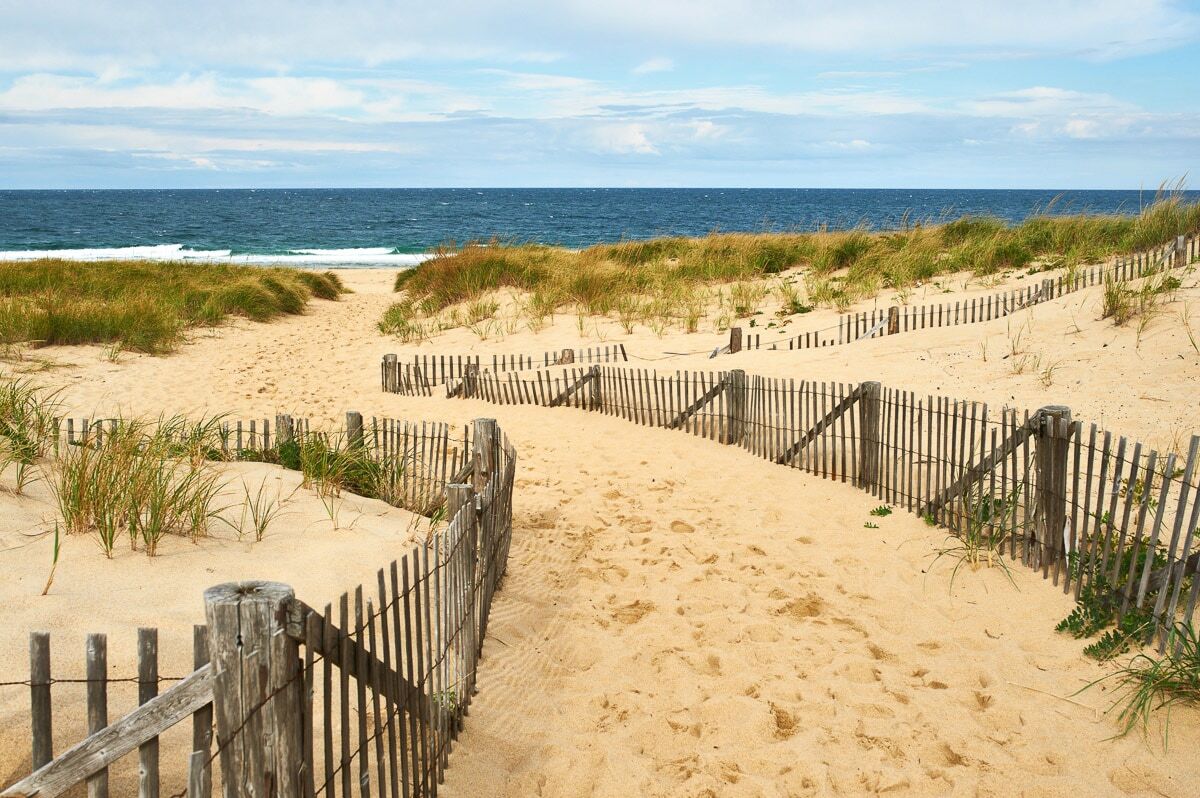 Papermoon Fototapete »Cape Cod Dünen«, Vliestapete, hochwertiger Digitaldruck bunt