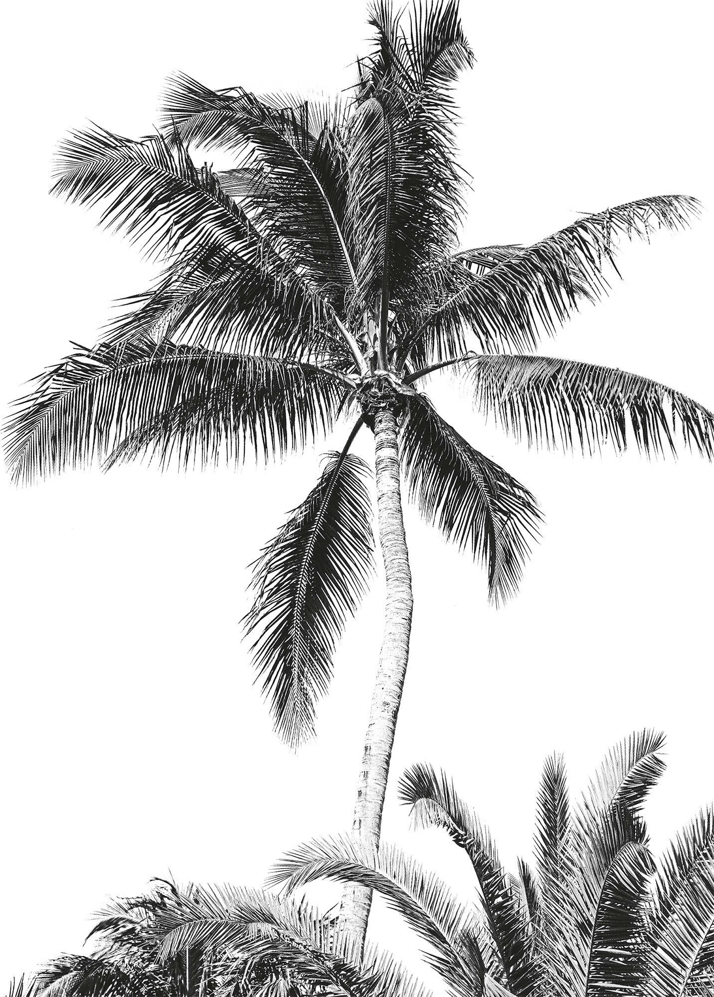 Komar Fototapete »Retro Palm«, bedruckt-Comic-Retro-mehrfarbig, BxH: 200x280 cm bunt