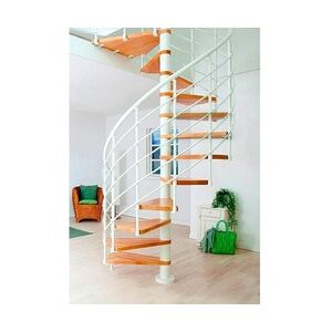 DOLLE Spindeltreppe Oslo Ø 140 cm, weiß, Buche Natur