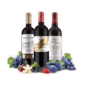ebrosia Weinwelt Allerfeinste Bordeaux-Schätze