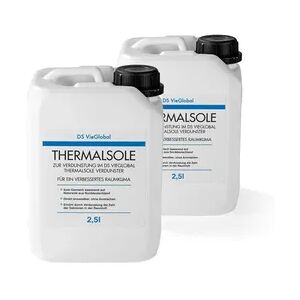 DS VieGlobal Thermalsole 2er-Set - 2x 2,5l
