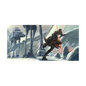 Komar Vlies Fototapete Star Wars Classic Darth Vader vs. Luke Skywalker 500 x 250 cm