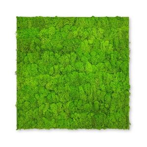 Wandpaneel Jangal Modular Wall 11102 Bright Green Moos 52 x 52 cm