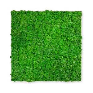 Wandpaneel Jangal Modular Wall 11101 Rich Green Moos 52 x 52 cm