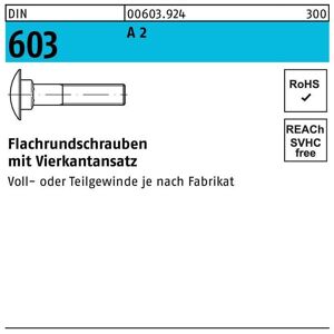 Flachrundschraube DIN 603 m.Vierkantansatz M 5 x 65 A 2