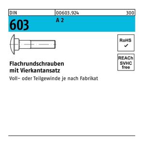 Flachrundschraube DIN 603 m.Vierkantansatz M 5 x 50 A 2