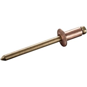 Goebel - 500 x Blindnieten Kupfer Legierung / Bronze (ø x l) 4,0 x 16,0 mm mit Flachkopf ISO16582 - Flachkopf Nieten - Popnieten - standard