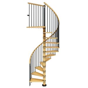 Dolle Spindeltreppe Winnipeg 246-270cm Geschosshöhe 11 Stufen Ø140cm Buche geölt