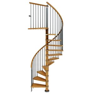 Dolle Spindeltreppe Winnipeg 246-270cm Geschosshöhe 11 Stufen Ø140cm Eiche geölt