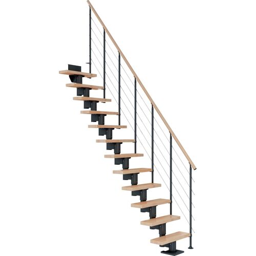 DOLLE Mittelholmtreppe „Dublin“ Treppen BucheMetall Gr. gerade, grau (anthrazit) Treppen