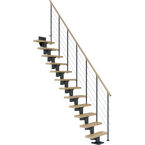 DOLLE Mittelholmtreppe „Dublin“ Treppen AhornMetall Gr. gerade, grau (anthrazit) Treppen