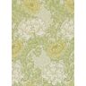 Morris & Co. Tapete Chrysanthemum - Pale Olive