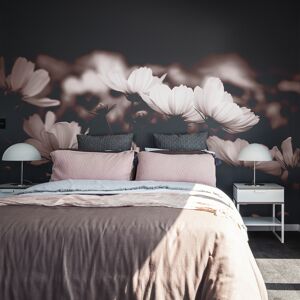 Acte Deco Papel pintado panoramic cosmos flowers rosa 340x250cm