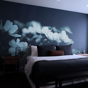 Acte Deco Papel pintado panoramic cosmos flowers rosa 425x250cm