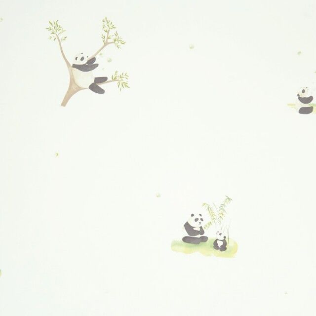 Panda Papel pintado Panda