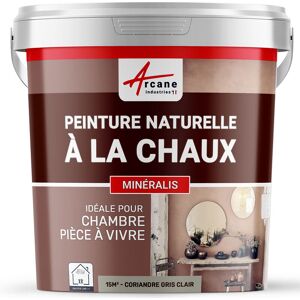 PEINTURE CHAUX NATURELLE - MINERALIS - Coriandre Gris Clair - 15 m² (2.5 kg en 1 couche) - ARCANE INDUSTRIES