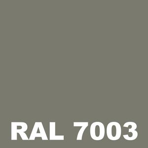 Peinture Fer Monocouche - Metaltop -  Gris mousse - RAL 7003 - Pot 5L - Publicité