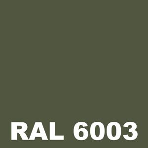 Peinture Sol Ciment - Metaltop -  Vert olive - RAL 6003 - Pot 5L - Publicité