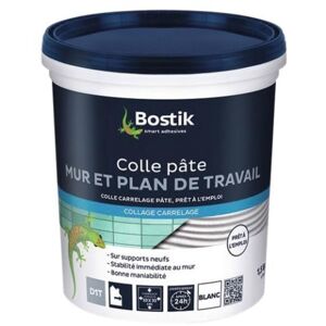 - Colle pâte carrelage murs et plans de travail, coloris blanc, 3 kg