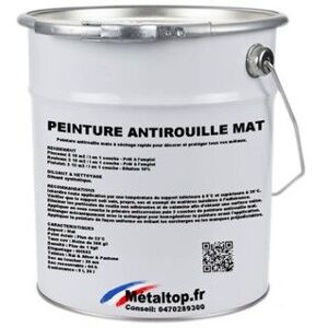 Metaltop - Peinture Antirouille Mat - Pot 5 l - 2012 - Orange saumon Orange saumon - Publicité