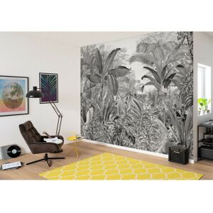 Poster xxl jungle en noir et blanc l350 x h280 cm