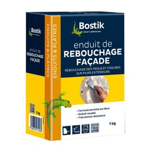 Enduit BOSTIK Rebouchage Façade Poudre 1KG