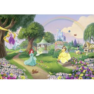 Papier peint Arc-en-ciel Princesses Disney 368X254 CM