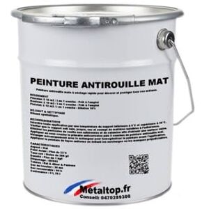 Metaltop Peinture Antirouille Mat Noir foncé RAL 9005 Pot 5 L - Publicité