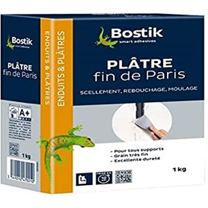 Bostik Plâtre Fin de Paris Scellement, Rebouchage, Moulage Intérieur Tous Supports Prise Rapide Couleur : Blanc 1 Boîte Carton 1 kg - Publicité