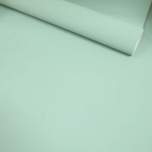 Papier peint vinyle sur intissé - Intemporel - Uni grain fin vert d'eau - Rouleau(x)