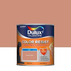 Peinture Dulux Valentine Color Resist - Murs&Boiseries; - Mat Cuivre Rose - 0,5L