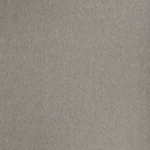 Moquette pure laine - Majestic Balsan - Gris percutant 725