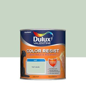 Peinture Dulux Valentine Color Resist - Murs&Boiseries; - Mat Vert Saule - 0,5L