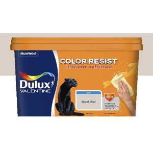 Dulux Valentine Color Resist - Murs&Boiseries; - Mat Galet Clair - 2,5L