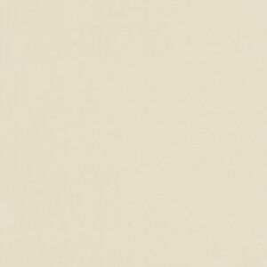 Papier peint vinyle sur intisse - Intemporel - Uni grain fin beige romantique - Rouleau(x)