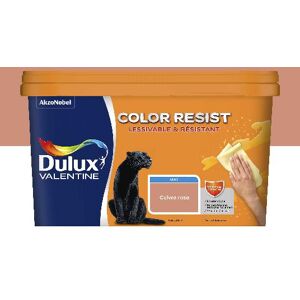 Dulux Valentine Color Resist - Murs&Boiseries; - Mat Cuivre Rose - 2,5L