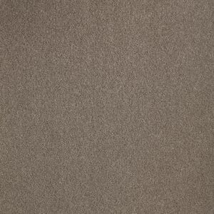 Moquette pure laine - Majestic Balsan - Marron brunet 785