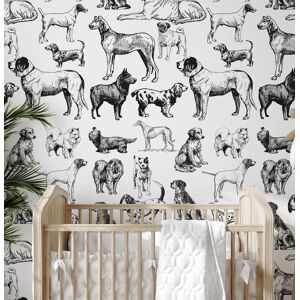 Wallpapers4Beginners Papier Peint Chiens Noirs et Blancs 250x200 cm