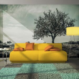 Planete Discount Papier peint panoramique arbre vintage 350x270 cm