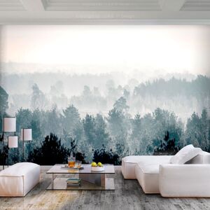 Planete Discount Papier peint panoramique paysages winter forest 300x210 cm