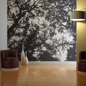 Planete Discount Papier peint panoramique foret sombre 350x270 cm