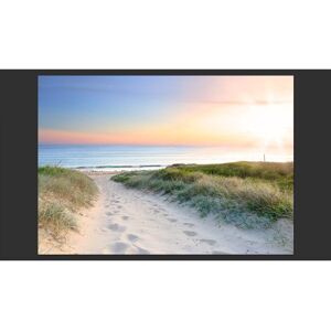 Artgeist Papier peint promenade matinale sur la plage 350 x 245 cm