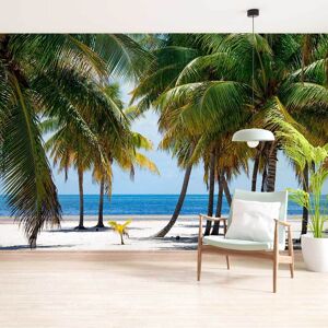 Hexoa Papier peint panoramique plage des tropiques 364x270cm