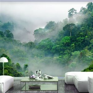 Papier peint - Morning Fog - 100x70 Artgeist (58197) - Publicité