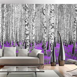 Artgeist Papier peint Purple asylum-Taille L 100 x H 70 cm Imprimé - Publicité