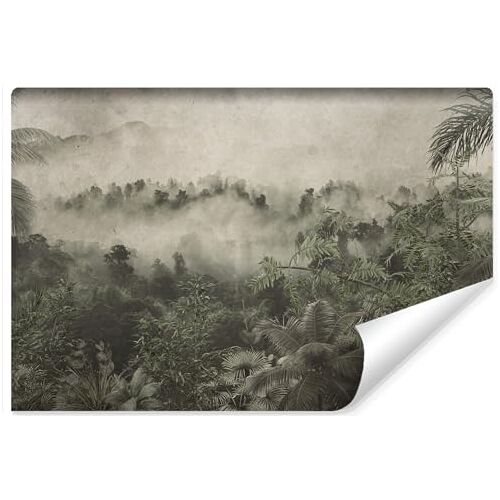 Muralo 3D-behang vliesbehang fotobehang 3D-effect behang voor woonkamer slaapkamer wandbehang fotobehang tropisch bos in mist motief br.104 cm x hoogte 70,5 cm