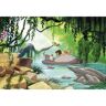 Komar Fotobehang Jungle book swimming with Baloo (1 stuk) multicolor