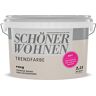 Schöner Wohnen 2,5 l  trendy muurverf mat Cosy