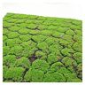 Aoisavch Kunstmatige Moss Mos Tapijt, DIY Nep Groene Planten Faux Mos for Gras Tuin Muur Woonkamer Decor Benodigdheden, 8 Stijlen  (Color : C, Size : 3.28'x3.28'/1x1m)