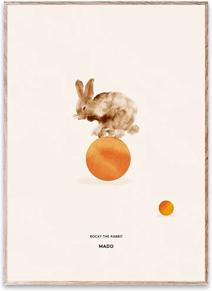 Paper Collective Rocky the Rabbit plakat 50 x 70 cm